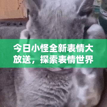 今日小怪全新表情大放送，探索表情世界的無限魅力！