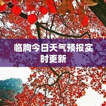 臨朐今日天氣預(yù)報實(shí)時更新