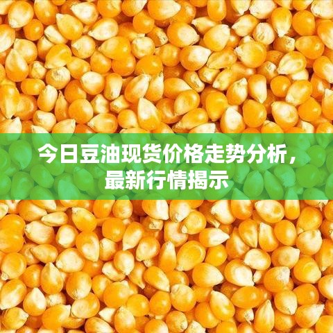 今日豆油現(xiàn)貨價(jià)格走勢分析，最新行情揭示