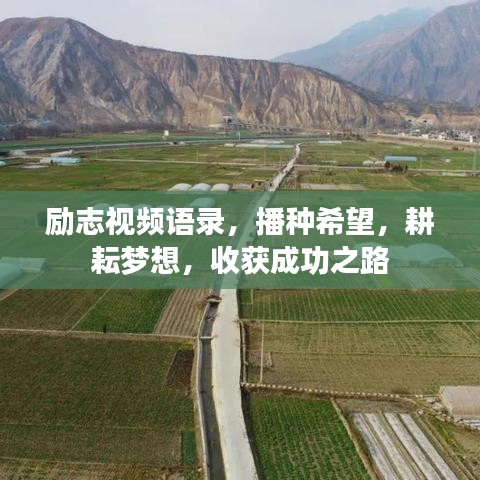勵志視頻語錄，播種希望，耕耘夢想，收獲成功之路