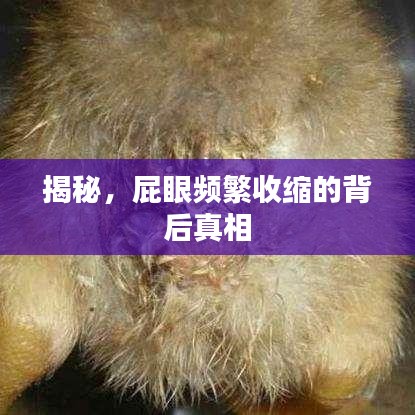 揭秘，屁眼頻繁收縮的背后真相