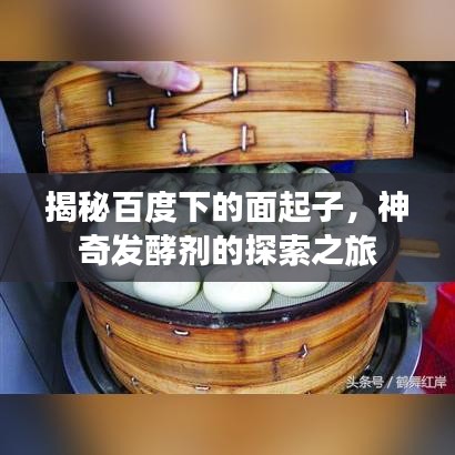 揭秘百度下的面起子，神奇發(fā)酵劑的探索之旅