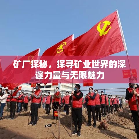 礦廠探秘，探尋礦業(yè)世界的深邃力量與無限魅力