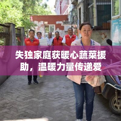 失獨(dú)家庭獲暖心蔬菜援助，溫暖力量傳遞愛