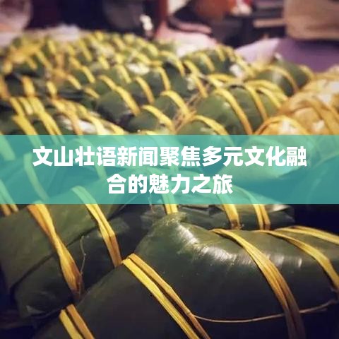 文山壯語新聞聚焦多元文化融合的魅力之旅