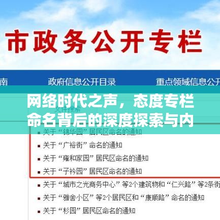 網(wǎng)絡(luò)時(shí)代之聲，態(tài)度專欄命名背后的深度探索與內(nèi)涵解析