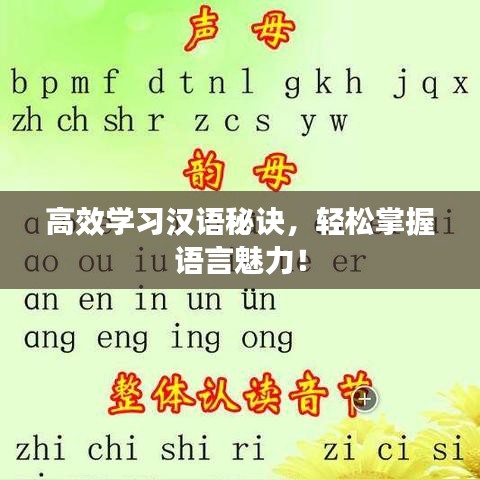 高效學(xué)習(xí)漢語秘訣，輕松掌握語言魅力！