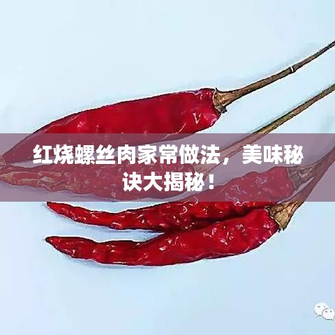 紅燒螺絲肉家常做法，美味秘訣大揭秘！