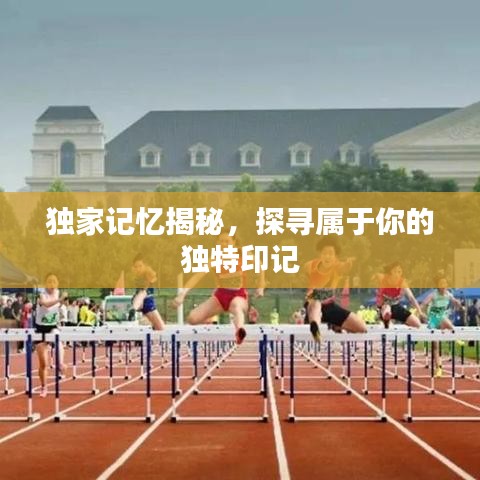 獨(dú)家記憶揭秘，探尋屬于你的獨(dú)特印記