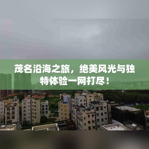 茂名沿海之旅，絕美風光與獨特體驗一網(wǎng)打盡！