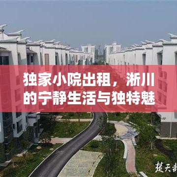 獨(dú)家小院出租，淅川的寧靜生活與獨(dú)特魅力體驗(yàn)