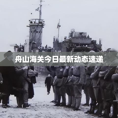 舟山海關(guān)今日最新動(dòng)態(tài)速遞