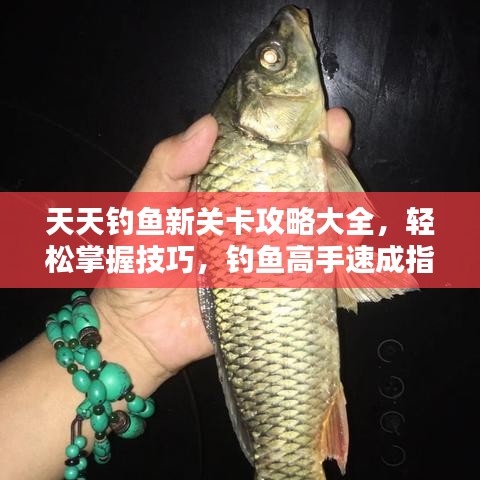 天天釣魚(yú)新關(guān)卡攻略大全，輕松掌握技巧，釣魚(yú)高手速成指南！