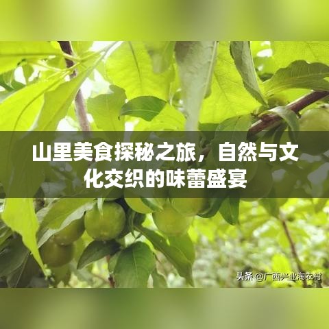 山里美食探秘之旅，自然與文化交織的味蕾盛宴