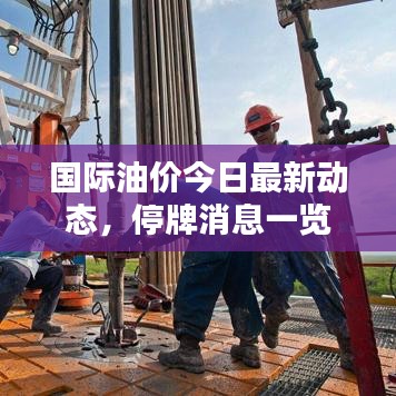 國際油價今日最新動態(tài)，停牌消息一覽