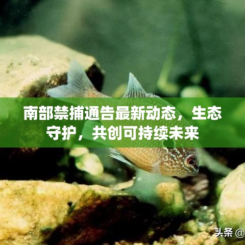 南部禁捕通告最新動(dòng)態(tài)，生態(tài)守護(hù)，共創(chuàng)可持續(xù)未來(lái)