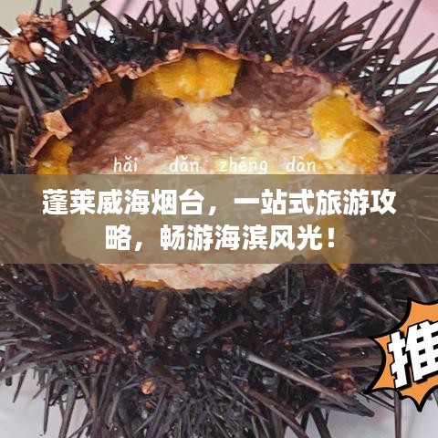 蓬萊威海煙臺(tái)，一站式旅游攻略，暢游海濱風(fēng)光！