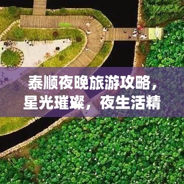 泰順夜晚旅游攻略，星光璀璨，夜生活精彩紛呈！