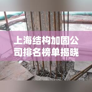 上海結(jié)構(gòu)加固公司排名榜單揭曉，權(quán)威推薦，專(zhuān)業(yè)可靠！