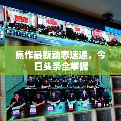 焦作最新動態(tài)速遞，今日頭條全掌握