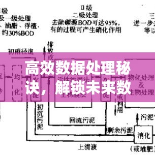 高效數(shù)據(jù)處理秘訣，解鎖未來數(shù)據(jù)處理的關(guān)鍵技術(shù)！