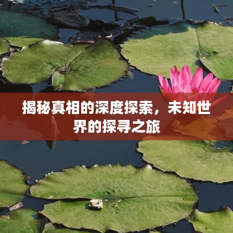 揭秘真相的深度探索，未知世界的探尋之旅