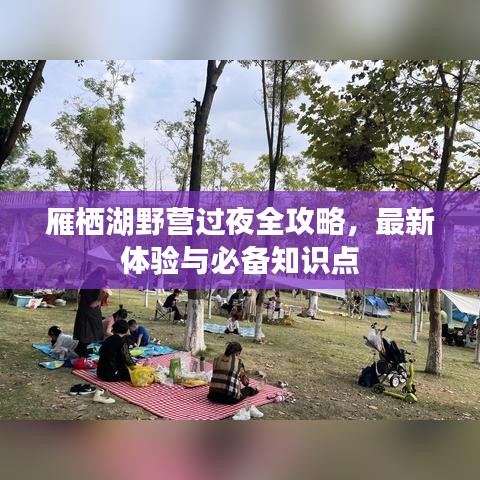 鳥(niǎo)為食亡 第3頁(yè)