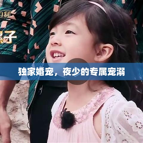 獨(dú)家婚寵，夜少的專屬寵溺