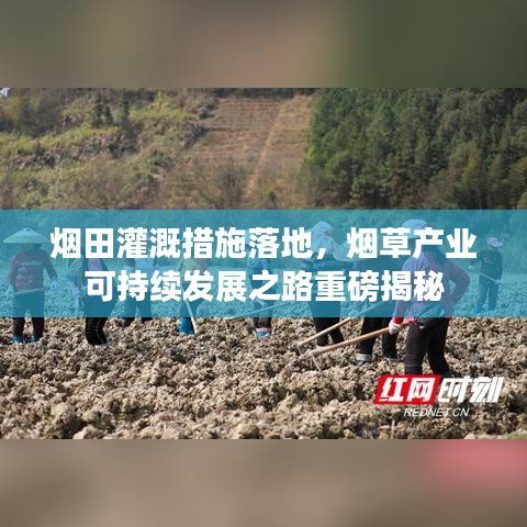 煙田灌溉措施落地，煙草產(chǎn)業(yè)可持續(xù)發(fā)展之路重磅揭秘