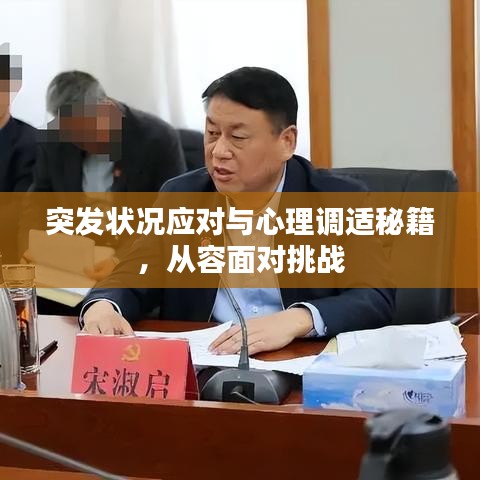 突發(fā)狀況應(yīng)對與心理調(diào)適秘籍，從容面對挑戰(zhàn)