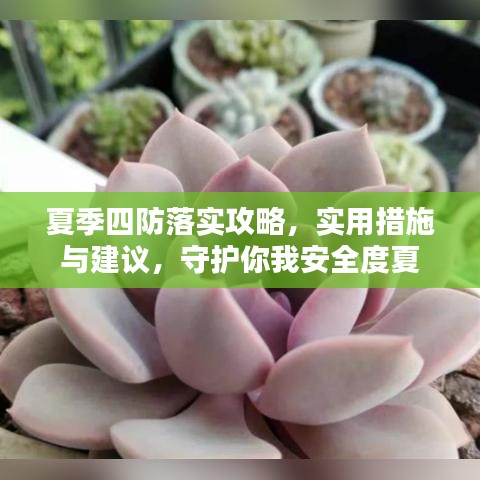 飛揚(yáng)撥扈 第4頁(yè)