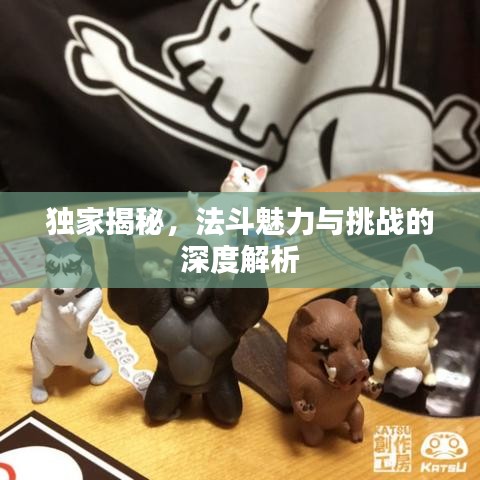 獨(dú)家揭秘，法斗魅力與挑戰(zhàn)的深度解析