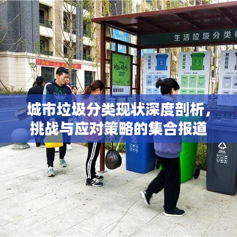 城市垃圾分類現(xiàn)狀深度剖析，挑戰(zhàn)與應(yīng)對策略的集合報(bào)道