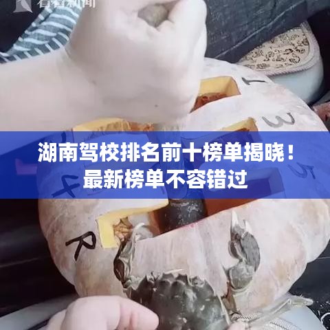 湖南駕校排名前十榜單揭曉！最新榜單不容錯過