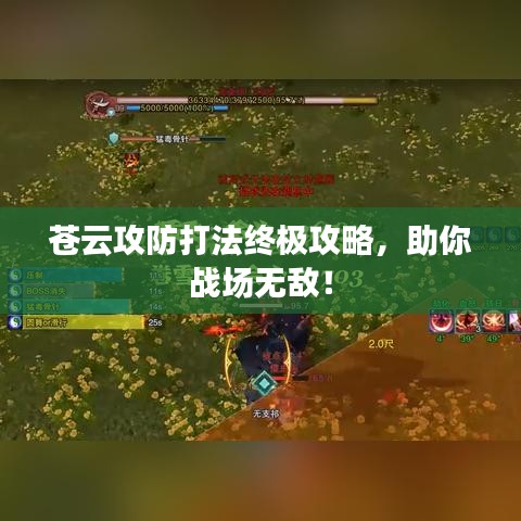 蒼云攻防打法終極攻略，助你戰(zhàn)場(chǎng)無敵！