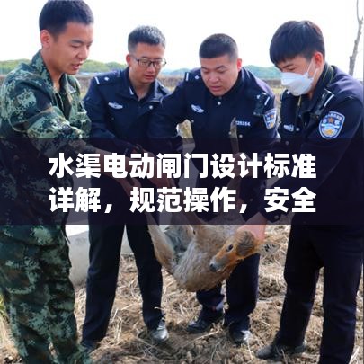 水渠電動(dòng)閘門設(shè)計(jì)標(biāo)準(zhǔn)詳解，規(guī)范操作，安全無憂