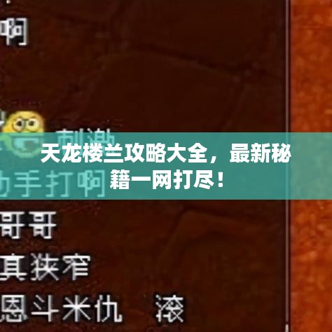 天龍樓蘭攻略大全，最新秘籍一網(wǎng)打盡！