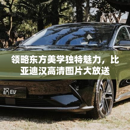 領(lǐng)略東方美學(xué)獨(dú)特魅力，比亞迪漢高清圖片大放送