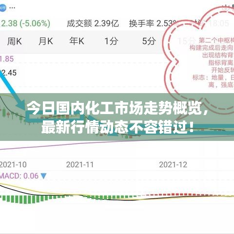 今日國內(nèi)化工市場走勢概覽，最新行情動態(tài)不容錯過！
