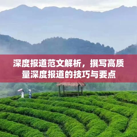 深度報(bào)道范文解析，撰寫高質(zhì)量深度報(bào)道的技巧與要點(diǎn)