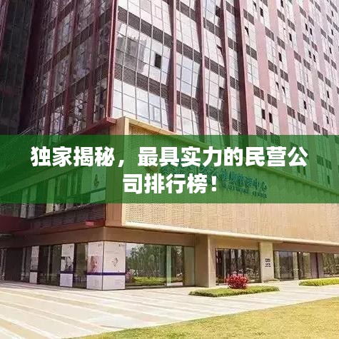 獨(dú)家揭秘，最具實力的民營公司排行榜！