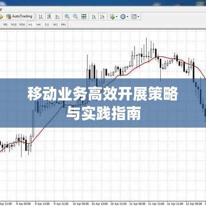 移動(dòng)業(yè)務(wù)高效開展策略與實(shí)踐指南