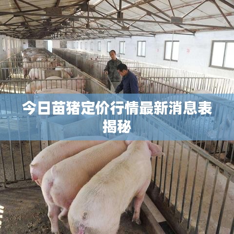 今日苗豬定價行情最新消息表揭秘