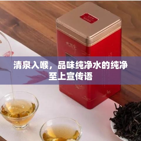 清泉入喉，品味純凈水的純凈至上宣傳語