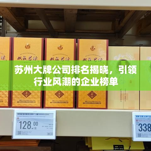 蘇州大牌公司排名揭曉，引領(lǐng)行業(yè)風(fēng)潮的企業(yè)榜單