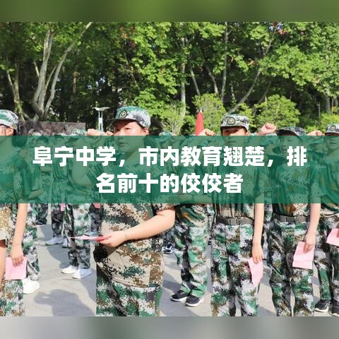 阜寧中學(xué)，市內(nèi)教育翹楚，排名前十的佼佼者