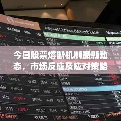 今日股票熔斷機(jī)制最新動(dòng)態(tài)，市場(chǎng)反應(yīng)及應(yīng)對(duì)策略揭秘