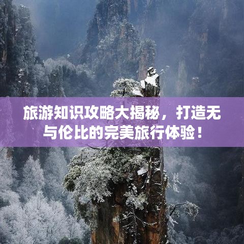 旅游知識攻略大揭秘，打造無與倫比的完美旅行體驗！