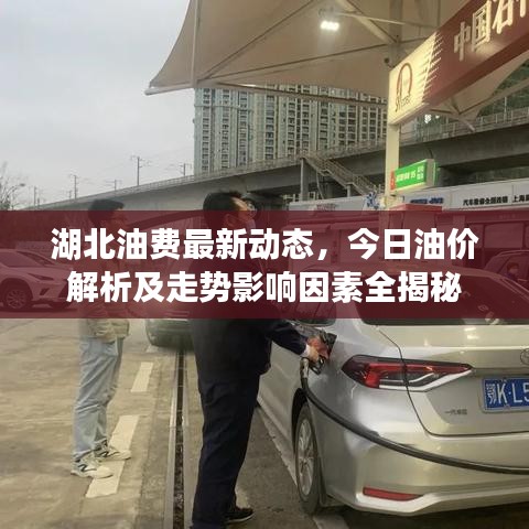 湖北油費最新動態(tài)，今日油價解析及走勢影響因素全揭秘