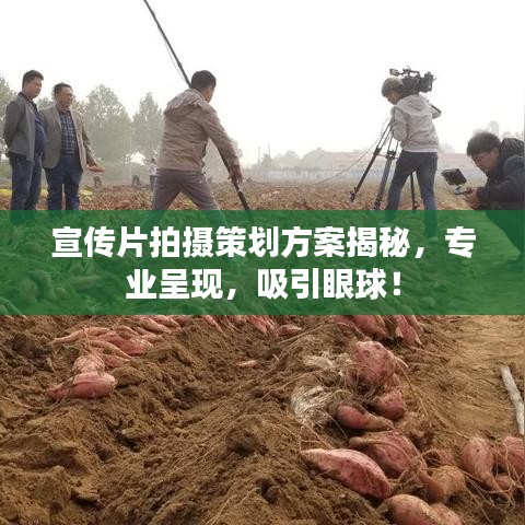 宣傳片拍攝策劃方案揭秘，專業(yè)呈現(xiàn)，吸引眼球！